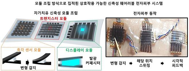 신축성 자가치유 반도체와 전극은 촉각센서나 디스플레이, 트랜지스터와 같은 다양한 모듈로 조립될 수 있다. 또한 조립된 모듈은 자가치유 기판에 집적되어 변형을 감지하고 해당 위치에 시각적인 피드백을 제공할 수 있는 신축성 전자 피부 시스템으로 기능할 수 있음을 검증했다. 한국연구재단