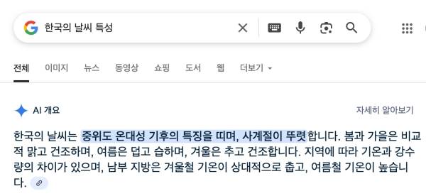 ▲구글에 '한국의 날씨 특성'을 검색한 결과 상단에 표시된 AI 개요