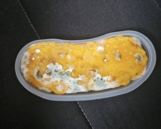 빽다방 디저트 ‘가바밥알떡’에 곰팡이가 핀 모습. (온라인 커뮤니티 갈무리)