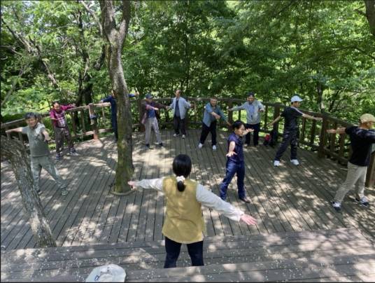 '치매 예방 항노화 산림치유 프로그램' 진행 모습./사진제공= 한국산림복지진흥원