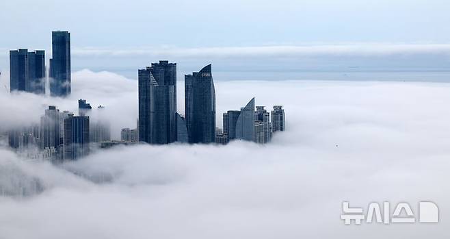 [부산=뉴시스] 하경민 기자 = 초여름 더위가 이어진 21일 부산 황령산의 한 전망대에서 내려다 본 도심이 짙은 해무로 뒤덮여 장관을 연출하고 있다. 2025.05.21. yulnetphoto@newsis.com