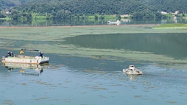 ▲팔당호 녹조 제거작업 모습 ⓒ경기도