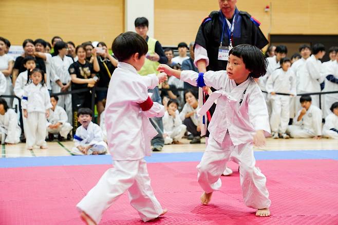 지난해 열린 전국택견한마당  [충주시 제공. 재판매 및 DB금지]