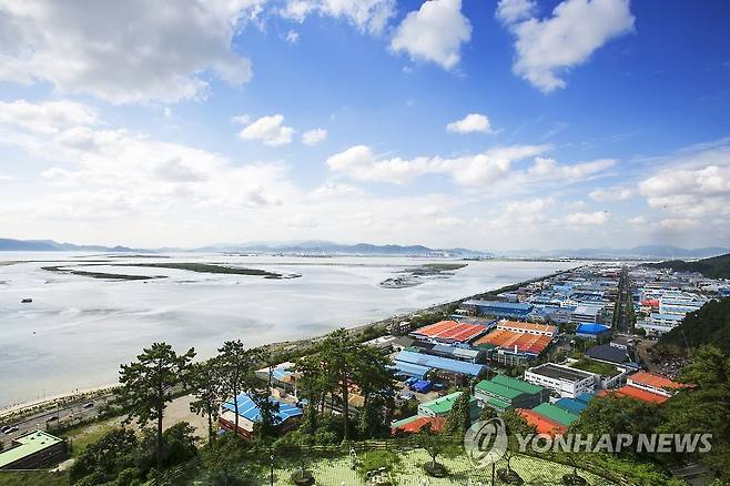 낙동강 [연합뉴스 자료 사진]