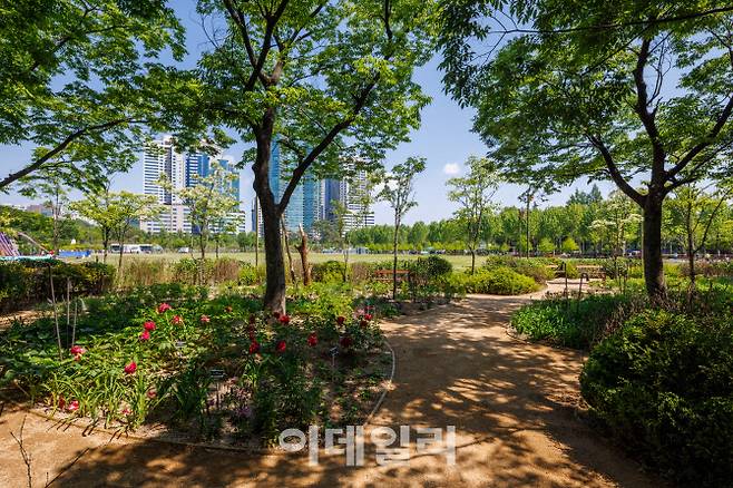 국내외 전문가가 참여한 작가정원에 조성된 초청정원 (사진=서울시)