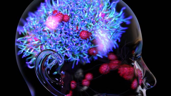 뇌와 척수를 감싸고 보호하면서 뇌척수액이 흐르는 막을 뇌수막이라고 한다. [사진=게티이미지뱅크]