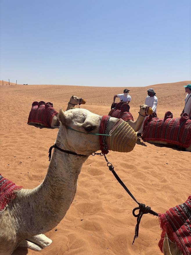 IMG_4243.jpeg 두바이 23시간으로 알차게 즐겼습니다