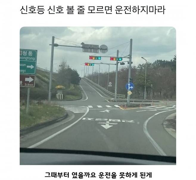 신호등 딜레마