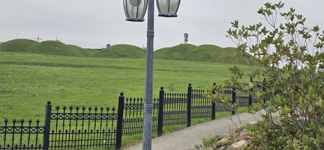 경산 임당동 고분 전경. 경산시 제공