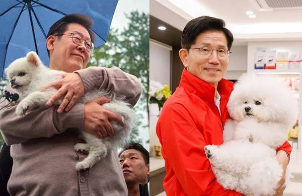 제21대 대선을 앞두고 주요 대선 후보들 사이에서 반려동물을 양육하는 국민과 동물 보호 단체의 표심을 잡기 위한 경쟁이 치열하다. /사진=연합뉴스, 국민의힘