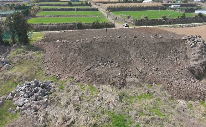 제주자치경찰단 제공