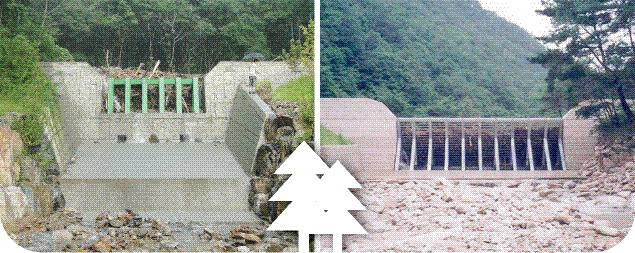 ▲ 강원도에서 수해 방지를 위해 지형과 특성에 맞는 공법으로 개발한 그리드 댐(왼쪽 사진)과 버트레스 댐. 장상기 위원 제공