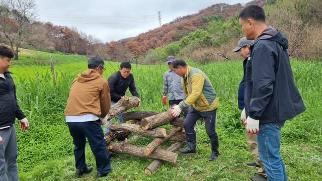 폐나무를 우물 정(井) 형태로 쌓아 올려 곤충호텔을 만들고 있다. 영양군 제공