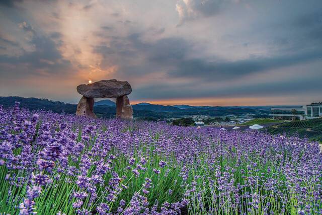 붉은 노을 속 고인돌이 이채로운 전북 정읍 허브원.