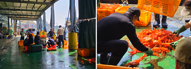 이른 아침, 영덕 강구항 전경/ 사진=김혜성 여행+ 기자