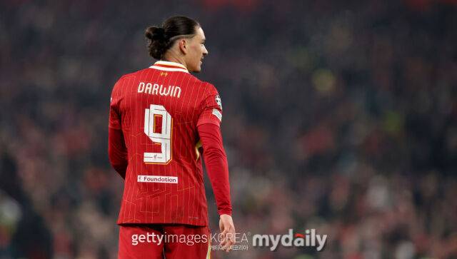 이적이 유력한 다르윈 누녜스. /게티이미지코리아