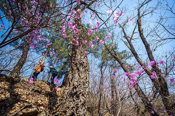 기차봉 또는 아갈바위라고 불리는 데크전망대.