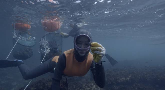 /사진=JTBC '딥 다이브 코리아: 송지효의 해녀 모험'