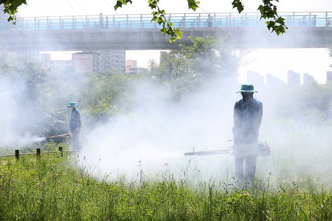 모기 잡아라  (대구=연합뉴스) 박세진 기자 = 지난 21일 대구 동구 동촌유원지에서 동구보건소 방역반원들이 병해충 방역작업을 하고 있다. 2025.5.21 psjpsj@yna.co.kr