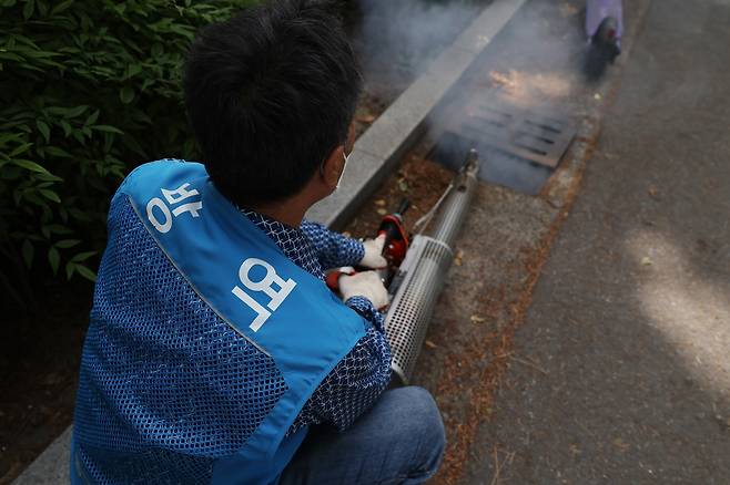 모기야 꼼짝마  (대구=연합뉴스) 박세진 기자 = 지난 21일 대구 동구 동촌유원지 인근 하수구에서 동구보건소 방역반원들이 병해충 방역작업을 하고 있다. 2025.5.21 psjpsj@yna.co.kr