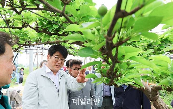 배 수출단지 현장 간담회. ⓒ농촌진흥청