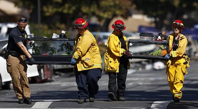 22일(현지시각) 미 샌디에이고 주택단지에 발생한 소형비행기 추락사고 현장 인근에서 자원봉사자들이 구조된 게코 도마뱀을 안전한 곳으로 옮기고 있다. 샌디에이고/EPA 연합뉴스