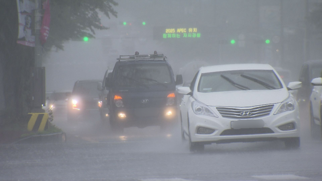 출처 : JIBS 자료사진-장마