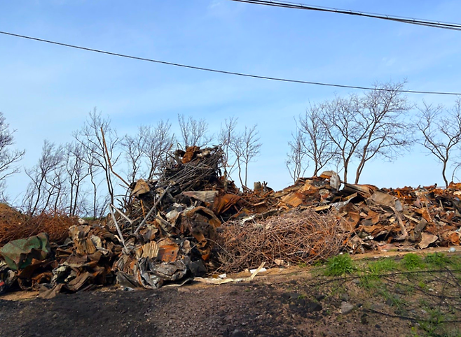 산불 피해를 입은 영덕의 모습 / 사진=김지은 여행+ 기자