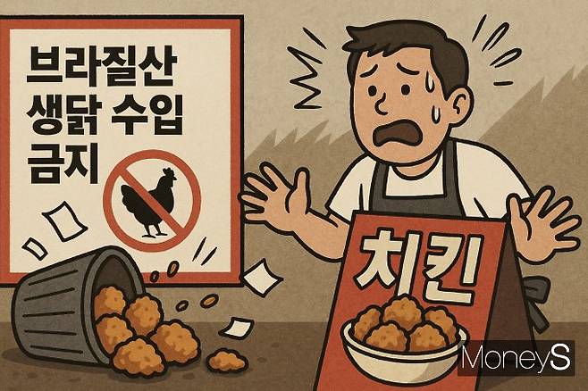 정부가 브라질산 닭고기 수입을 금지하자 시중 브라질산 냉동닭 도매가가 2배가까이 뛰면서 소상공인들이 어려움을 겪고 있다. /그래픽=김은옥 기자(챗GPT)