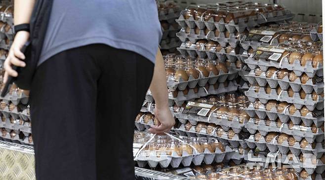 [서울=뉴시스] 김근수 기자 = 22일 서울 시내의 한 대형마트에 소비자들이 달걀을 고르고 있다.한국은행이 발표한 지난달 생산자물가지수는 120.32(2020=100)로 전월(120.33)보다 0.01포인트 올라 보합세(0.0%)를 보였다. 2월(0.0%)에 이은 2개월 때 보합세다. 다만 전년 동월 대비로는 1.3% 상승했다. 세부적으로는 축산물 중에서 달걀(6.8%)이 올랐으며, 수산물 중에서는 물오징어(19.9%)가 올랐다. 2025.04.22. ks@newsis.com