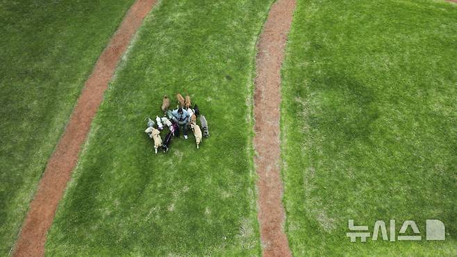 <font style="vertical-align: inherit;"><font style="vertical-align: inherit;">[부에노스아이레스=AP/뉴시스] 지난달 7일(현지 시간) 아르헨티나 부에노스아이레스에서 한 시민이 반려견을 데리고 산책하고 있다. 2025.05.23.</font></font>