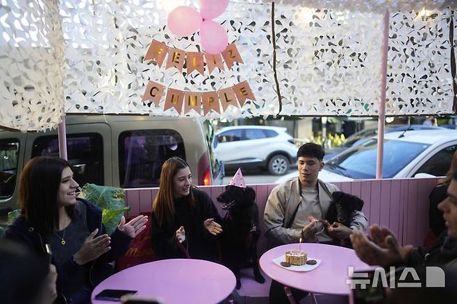 <font style="vertical-align: inherit;"><font style="vertical-align: inherit;">[부에노스아이레스=AP/뉴시스] 지난달 13일(현지 시간) 아르헨티나 부에노스아이레스의 한 카페에서 반려견 생일파티가 열리고 있다. 2025.05.23.</font></font>