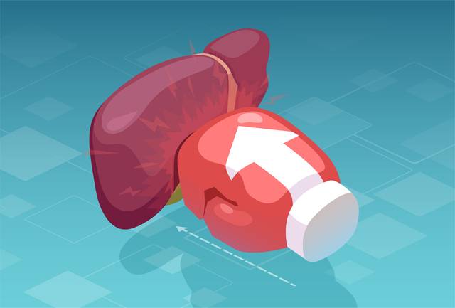 국내 기술로 개발된 인공패치의 우수성을 입증하는 연구 결과가 나왔다. 사진은 기사의 특정 사실과 관련 없음. 게티이미지뱅크