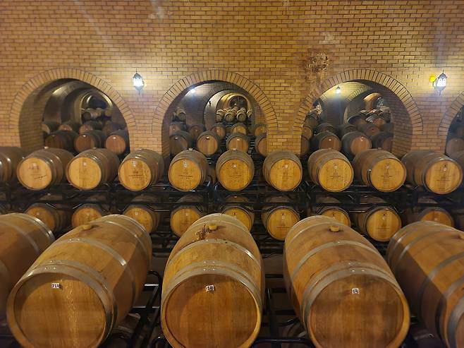 17일 중국 산둥성 옌타이시 쥔딩 와이너리의 와인 숙성고에 오크통이 진열돼 있다. 옌타이=이우중 특파원
