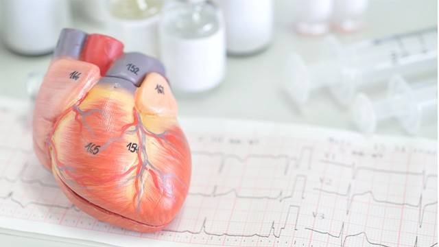 심장 초음파 검사는 부정맥, 심부전 등의 원인을 파악하는 데 유용한 검사법이다｜출처: 게티이미지뱅크