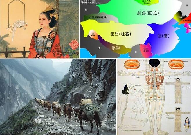 왼쪽 위부터 시계 방향으로 문성공주(위키피디아), 토번 제국(네이버 블로그), '사부의전' 해부도(동의학이야기), 차마고도(티벳투어).[사진=유영현 제공]