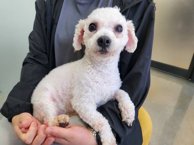 서울동물복지지원센터에서 보호 중인 레온 ⓒ 뉴스1 한송아 기자