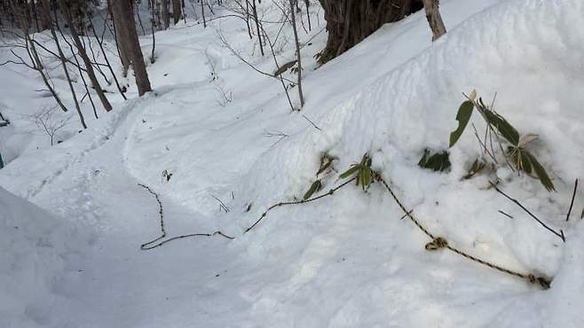 789b8305b1821df0239df0974f9c701e4a44ca80de35012aca6c1a93bb6719c880923642f6bb5ed1e2f534a455234c261cb661bd8b