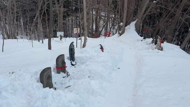 0eeff273c0f01bfe239df7e0309c706a303b8080914e48cc60bb6e5ad143af4187ab8eb0bccc340cb337f8f288328a351841299334