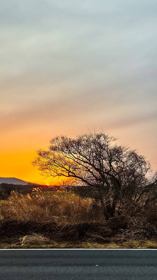 1000031777.jpg [국내여행] 2월 제주