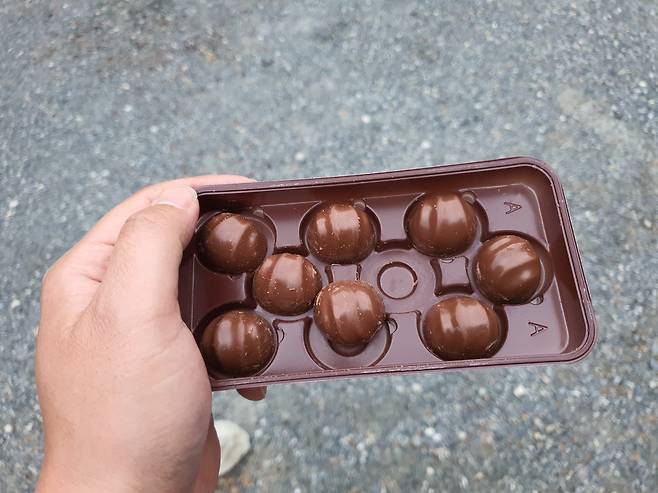 작지만 있을 건 다 있는 자린이 캠핑기