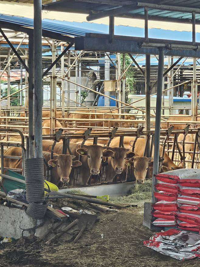 작지만 있을 건 다 있는 자린이 캠핑기