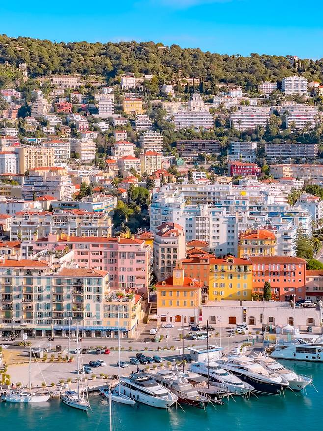 색감을 잘 살려 찍은 사진. 김성주 제공