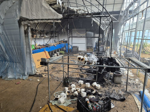 ▲ 24일 오후 1시 42분쯤 홍천군 영귀미면 월운리 인근 화훼용 비닐하우스에서 불이 나 소방당국이 불을 껐다. 강원소방본부 제공