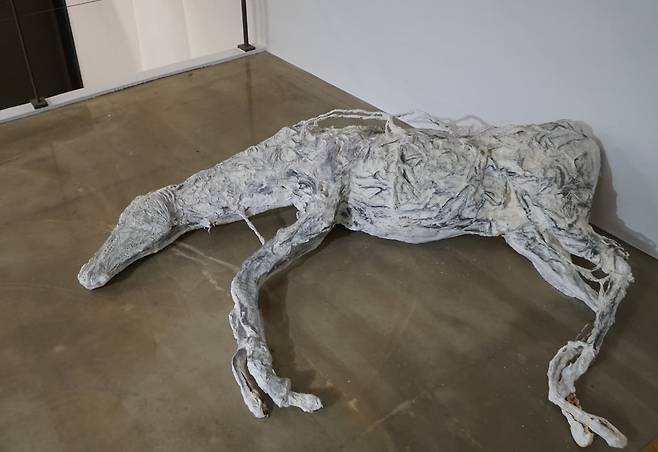 최고상을 수상한 우수빈의 ‘당신의 첫 번째 말’(2024).