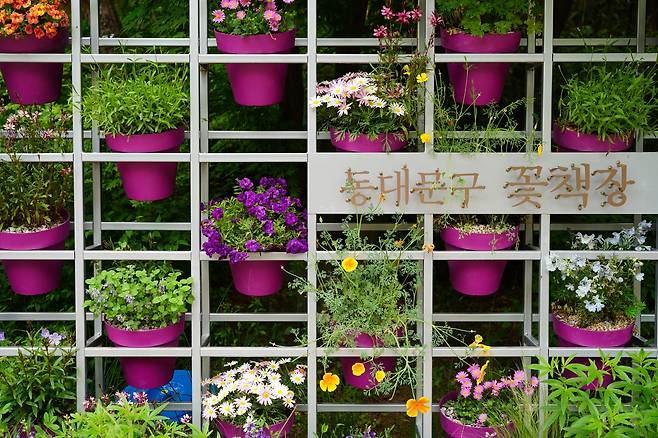 Dongdaemun-gu's bookshelf-style garden (Lee Si-jin/The Korea Herald)