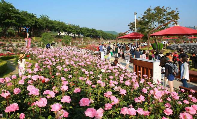 장미축제현장