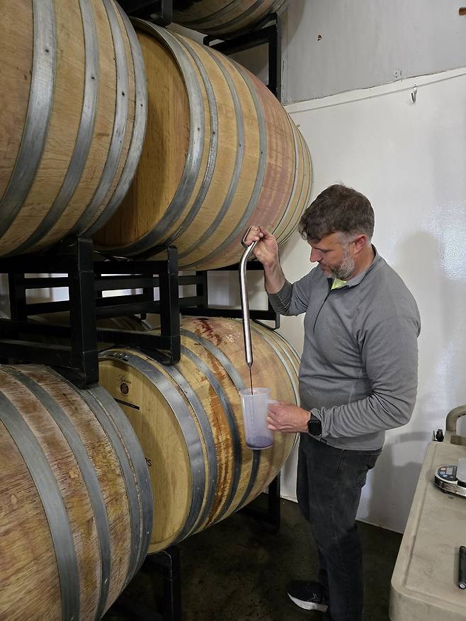 그라머시 셀라스 배럴 테이스팅.