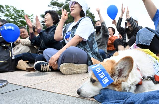 이재명 더불어민주당 대선 후보의 지지자들이 24일 경기 안양시 평촌중앙공원에 운집해 이 후보를 연호하고 있다. 안양=오승현 기자 2025.05.24