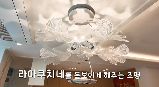 /사진=유튜브 채널 '박수홍 행복해다홍'